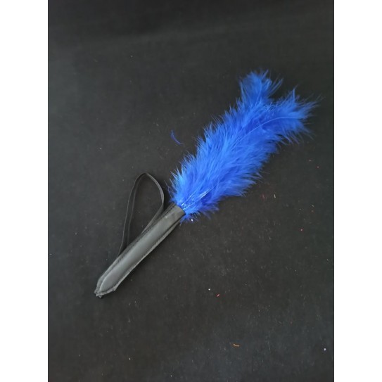 ESPANADOR DE PLUMAS COLORIDAS