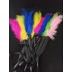 ESPANADOR DE PLUMAS COLORIDAS