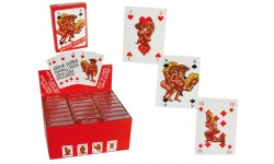 BARALHO DE CARTAS KAMASUTRA