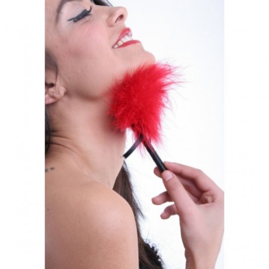 ESPANADOR DE PLUMAS SECRET PLAY VERMELHO