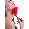 ESPANADOR DE PLUMAS SECRET PLAY VERMELHO