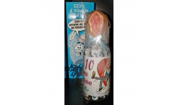 BIBERÃO 10 REGRAS DO NOIVO