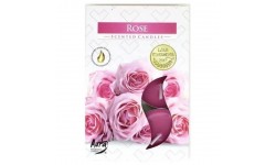 VELA AROMÁTICA ROSAS 6UND