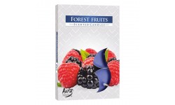 VELA AROMÁTICA FRUTOS SILVESTRES 6UND