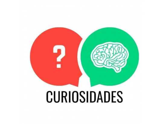 15 coisas curiosas que acontecem no corpo feminino durante o sexo