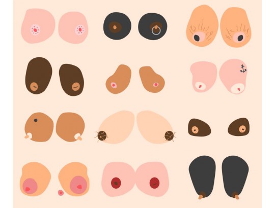 Tipos de mama: quais são e suas diferenças