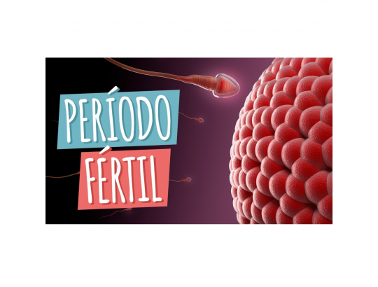 Período fértil: como funciona? Conheça os sintomas