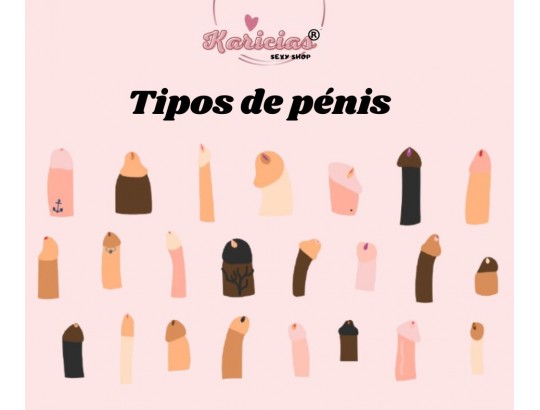 Os Tipos de Pénis: Conhece as Diferenças e Como Aproveitá-las Melhor